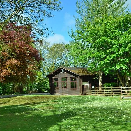 37 Trevithick Court, Tolroy Manor Villa Hayle Luaran gambar